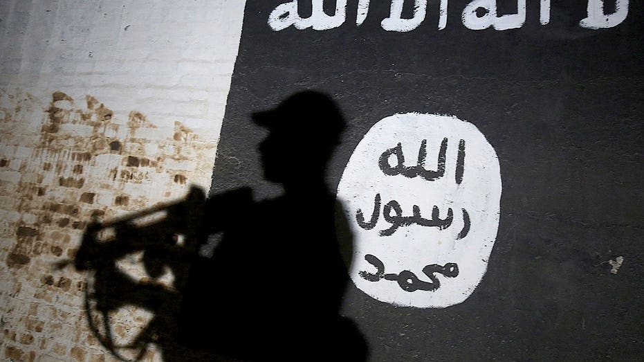 ISIS quietly rebuilding as US prepares to complete Iraq withdrawal, expert warns