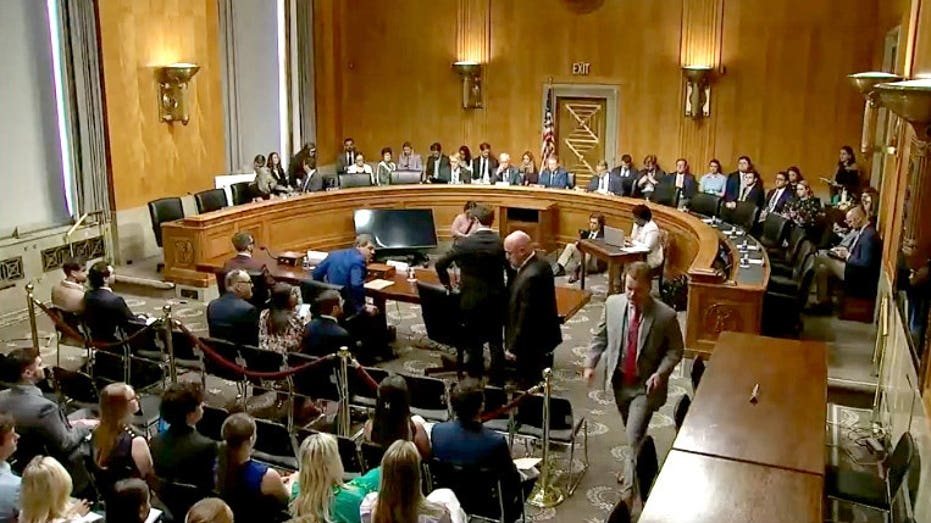 Senate Democrats boycott hearing on government fraud, drawing GOP criticism