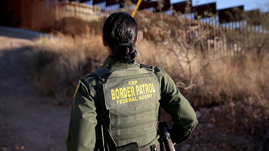 CBP officers seize $10.8 million in cocaine hidden in cabbage shipment at Texas border