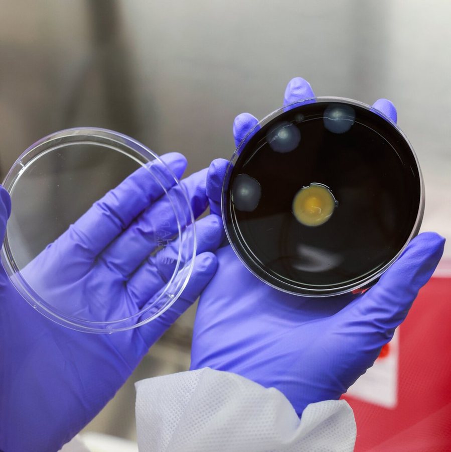 Legionnaires’ Disease Outbreak in Manhattan Claims Third Victim as City Orders Building Disinfections
