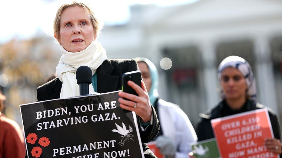 New York Faces Backlash After 'Sex and the City' Actress Cynthia Nixon Appointed to Judicial Screening Commission