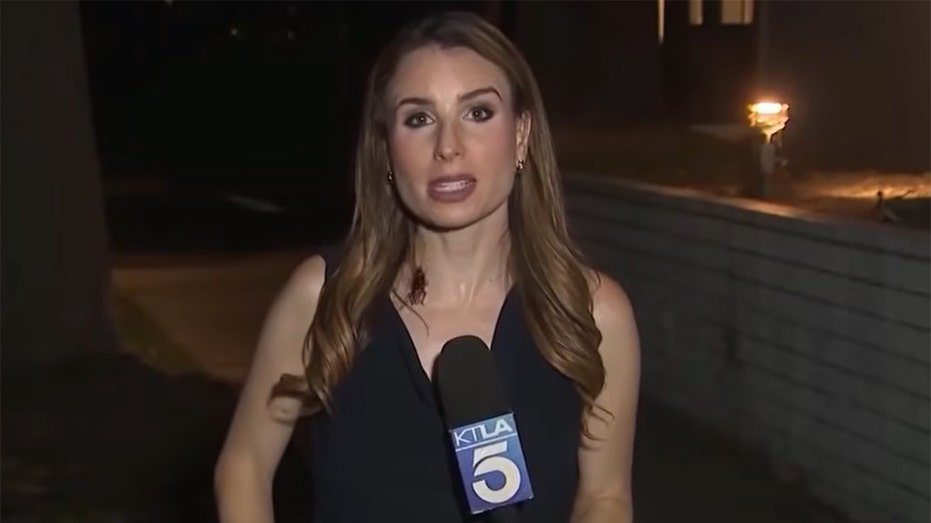 Los Angeles Journalist Keeps Composure as Cockroach Crawls Over Her During Live Report